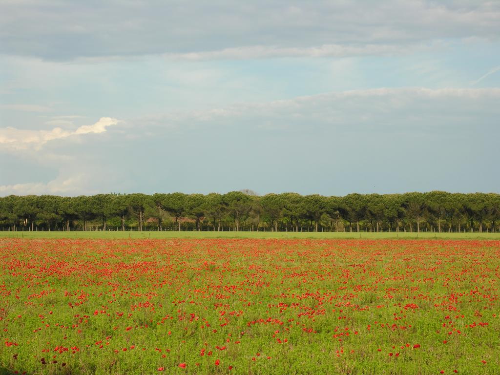 Appartamenti Paola Bibione Luaran gambar